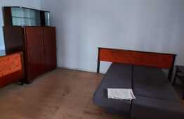 Apartament in casa, 110 mp.,  GRADINA de 90 mp, TERASA de 20 mp zona Lidl!