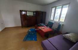 Apartament in casa, 110 mp.,  GRADINA de 90 mp, TERASA de 20 mp zona Lidl!