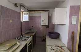 Apartament in casa, 110 mp.,  GRADINA de 90 mp, TERASA de 20 mp zona Lidl!