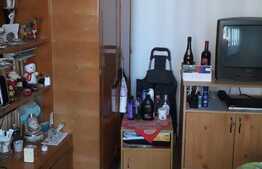 Apartament 1 camera, 31 mp, zona Porii