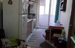 Apartament 1 camera, 31 mp, zona Porii