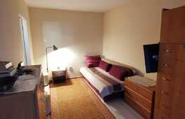 Apartament cu 2 camere, 47 de mp, pet friendly, loc de parcare, prima inchiriere, zona Iulius Mall