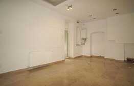 Spatiu comercial, 33 mp, acces din strada, zona Parcului Central