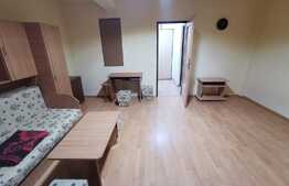 Apartament cu 1 camera, 36 de mp, pet friendly, zona FSEGA