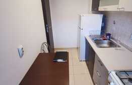 Apartament cu 2 camere, 47 de mp, pet friendly, prima inchiriere, zona Iulius Mall