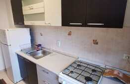 Apartament cu 2 camere, 47 de mp, pet friendly, prima inchiriere, zona Iulius Mall