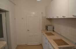 Apartament 1 camera, 40 mp, pet friendly, acces gradina, zona P-ta Cipariu
