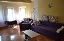 Apartament 1 camera, 40 mp, pet friendly, acces gradina, zona P-ta Cipariu