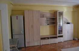 Apartament 1 camera, 40 mp, pet friendly, acces gradina, zona P-ta Cipariu