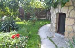 Apartament 1 camera, 40 mp, pet friendly, acces gradina, zona P-ta Cipariu
