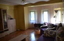 Apartament 1 camera, 40 mp, pet friendly, acces gradina, zona P-ta Cipariu