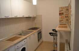 Apartament 1 camera, 40 mp, pet friendly, acces gradina, zona P-ta Cipariu