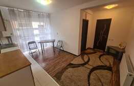 Garsoniera decomandata, 33mp, etaj 1, balcon! Zona strazii Urusagului!