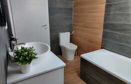 Penthouse, 100 mp, garaj, zona strazii Aurel Vlaicu