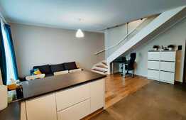 Penthouse, 100 mp, garaj, zona strazii Aurel Vlaicu