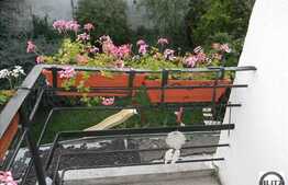 4 camere in Centru, 124 mp!!!