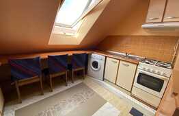 Apartament o camera, 30 mp, zona Porii