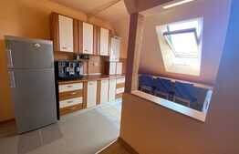 Apartament o camera, 30 mp, zona Porii