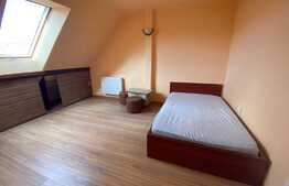 Apartament o camera, 30 mp, zona Porii