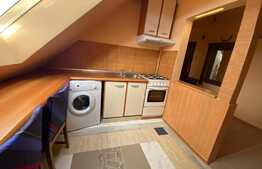 Apartament o camera, 30 mp, zona Porii