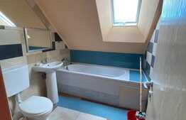 Apartament o camera, 30 mp, zona Porii