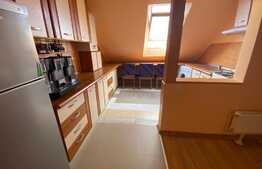 Apartament o camera, 30 mp, zona Porii