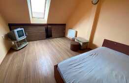 Apartament o camera, 30 mp, zona Porii