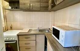 Garsoniera 22 mp , zona strazii Cernei