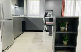 Apartament cu 2 camere, 60 mp, lux, prima inchiriere, garaj, zona Park Lake