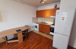 Apartament cu 2 camere, 46 de mp, zona strazii Alverna