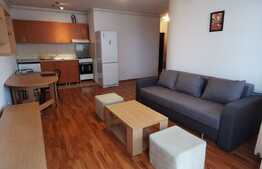 Apartament cu 2 camere, 46 de mp, zona strazii Alverna