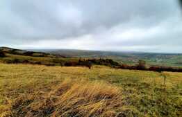 Teren intravilan 4300mp,situat in Sopor