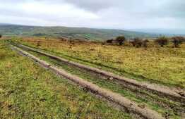 Teren intravilan 4300mp,situat in Sopor