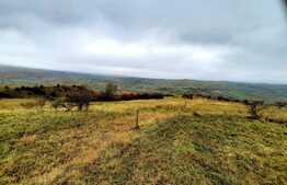 Teren intravilan 4300mp,situat in Sopor