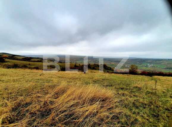 Teren de vânzare Sopor - 58486TV | BLITZ Cluj-Napoca | Poza2