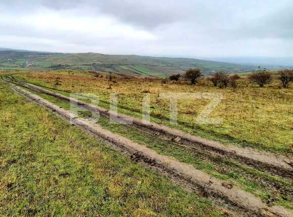 Teren de vânzare Sopor - 58486TV | BLITZ Cluj-Napoca | Poza4