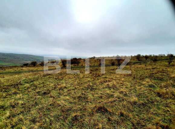 Teren de vânzare Sopor - 58486TV | BLITZ Cluj-Napoca | Poza3