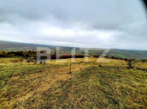 Teren de vânzare Sopor - 58486TV | BLITZ Cluj-Napoca | Poza1