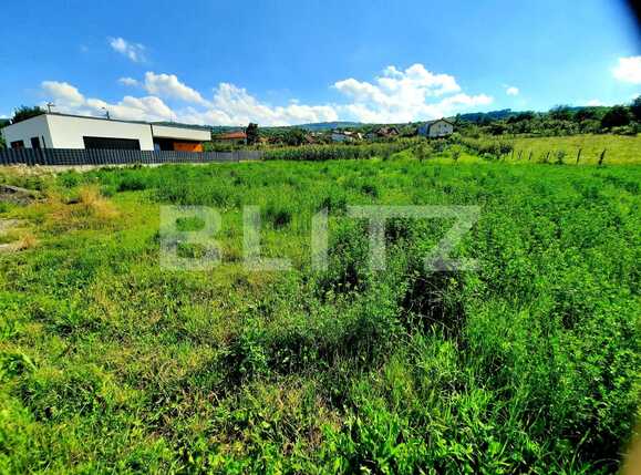 Teren de vânzare Borhanci - 58489TV | BLITZ Cluj-Napoca | Poza1