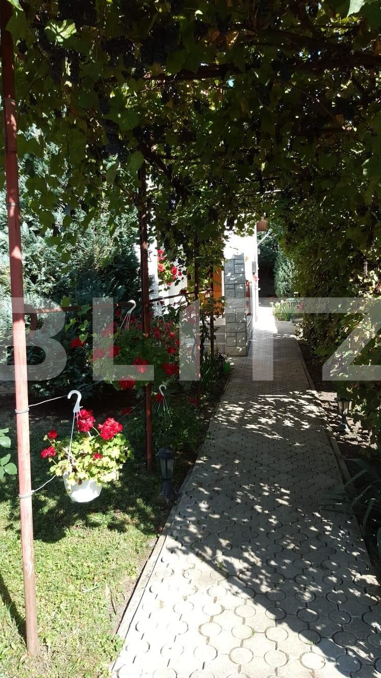 Casa de vânzare 2 camere Dambul Rotund - 58494CV | BLITZ Cluj-Napoca | Poza13