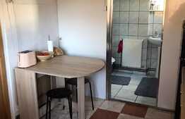 Apartament 1 camera, 33 mp, recent renovat, zona strazii Napoca