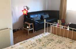 Apartament 1 camera, 33 mp, recent renovat, zona strazii Napoca