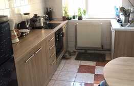 Apartament 1 camera, 33 mp, recent renovat, zona strazii Napoca