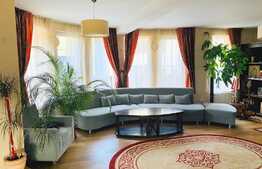 Oportunitate! Casa individuala de vanzare 240 mp utili cu teren 700 mp! Pret fix!