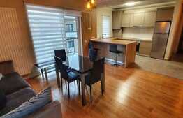 Apartament tip penthouse, 100 mp, garaj, zona strazii Aurel Vlaicu