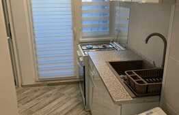 Apartament de inchiriat cu doua camere decomandate, 60 mp, zona Piata Cipariu