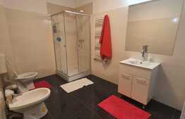 Apartament 2 camere, 55mp, Corneliu Coposu, Dambu Rotund