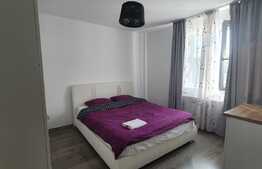 Apartament 2 camere, 55mp, Corneliu Coposu, Dambu Rotund