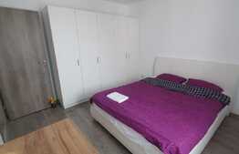 Apartament 2 camere, 55mp, Corneliu Coposu, Dambu Rotund