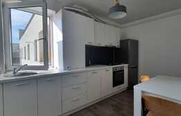 Apartament 2 camere, 55mp, Corneliu Coposu, Dambu Rotund